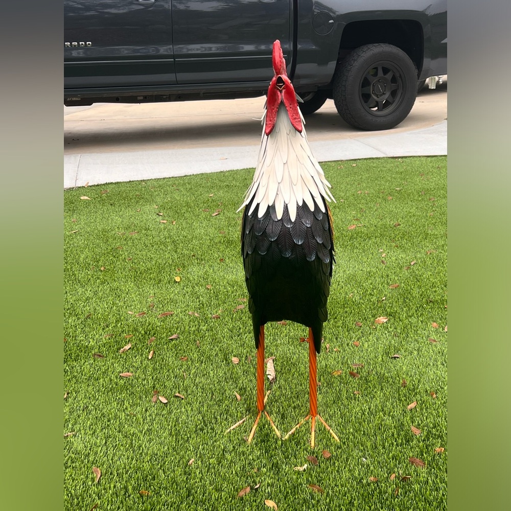 COPY - Large 3 foot metal Rooster (35 inches)